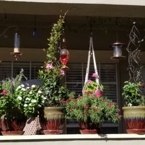 Meet your Posher, Deborah